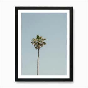 Palm Tree In Italy Art Print