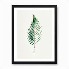 Douglas Fir Needle Leaf Minimalist Watercolour 3 Art Print