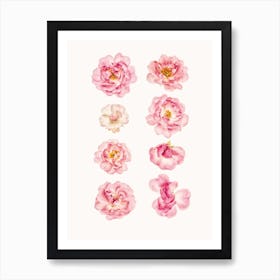 Flower IV Art Print