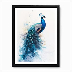 Watercolour Splash Peacock 2 Art Print