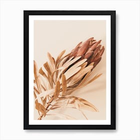 Boho Protea Flower Art Print