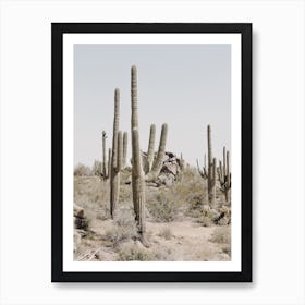 Saguaro Scenery Art Print