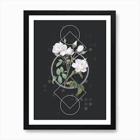 Vintage White Rose Botanical with Geometric Line Motif and Dot Pattern n.0203 Art Print