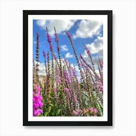 Purple Wildflowers Art Print