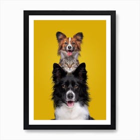 Three Dogs And A Cat Art Print