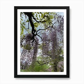 Img 4324 Spring in the arboretum Art Print