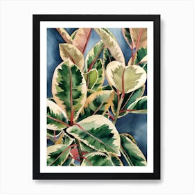 Ficus Elastica Variegata 2 Art Print