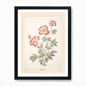 Botan Peony 3 Vintage Japanese Botanical Poster Art Print
