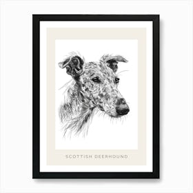 Scottish Deerhound Dog Line Sketch 2 Poster Art Print