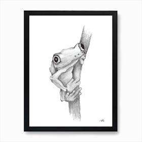 Black and White Pencil Tree Frog Art Print