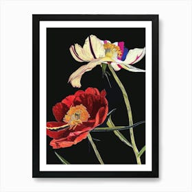 Neon Flowers On Black Ranunculus 2 Art Print