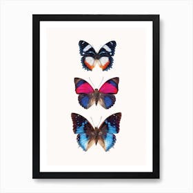 Butterflies III Art Print