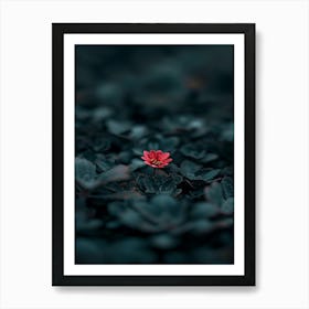 Flower In The Dark 4 Art Print