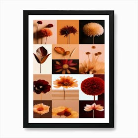 Autumn Flowers, Autumn Collection Art Print