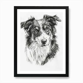 Australian Shepherd Dog Line Sketch 4 Art Print