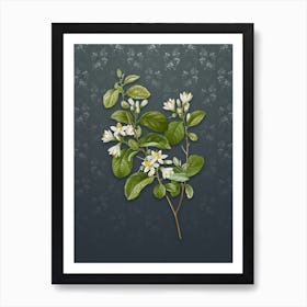 Vintage Snowdrop Bush Botanical on Slate Gray Pattern n.1206 Art Print