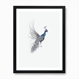 Peacock B&W Pencil Drawing 2 Bird Art Print