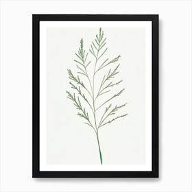 Caraway Leaf Minimalist Watercolour 1 Art Print