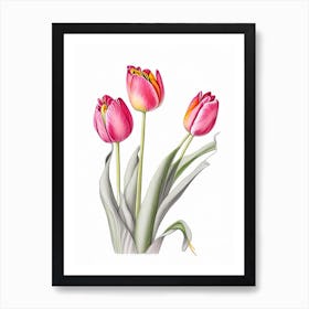 Tulip Floral Quentin Blake Inspired Illustration 4 Flower Art Print