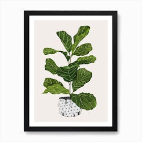 Fiddle Leaf Fig Tree Plant Art Print
