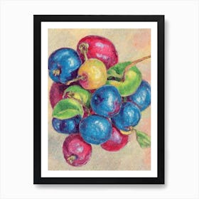 Barbados Cherry Vintage Sketch Fruit Art Print