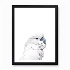 White Parrot Art Print