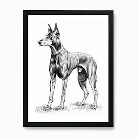 German Pinscher Dog Line Art 3 Art Print