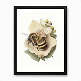 Hibernation Bee 2 Vintage Art Print