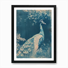 Vintage Cyanotype Inspired Peacock Art Print