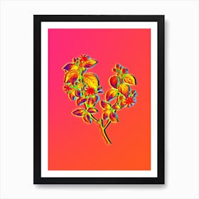 Neon Crossberry Botanical in Hot Pink and Electric Blue n.0104 Art Print