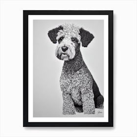 Kerry Blue Terrier B&W Pencil Dog Art Print