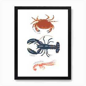 Crustations Art Print