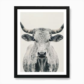 Longhorn Canvas Print 3 Art Print