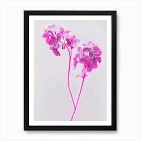 Hot Pink Lilac 3 Art Print