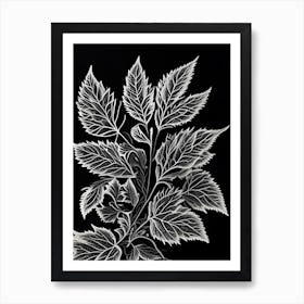 Calamint Leaf Linocut 3 Art Print
