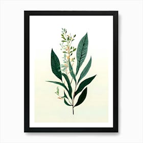 Eucalyptus 3 Art Print