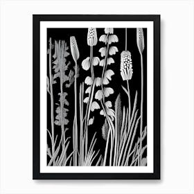 Horsetail Wildflower Linocut 2 Poster