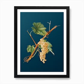 Vintage Vermentino Grapes Botanical Art on Teal Blue 1 Art Print