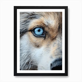 Himalayan Wolf Eye 2 Art Print
