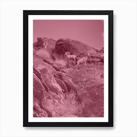 Dusty Pink Rams Art Print