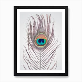 Peacock Feather Art Print