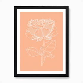 Rose Art Print