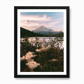 Mount Hood Wildflower Adventure Art Print