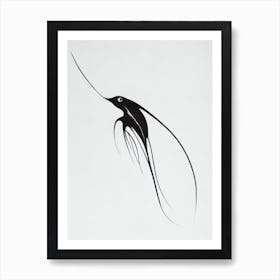 Vampire Squid Black & White Drawing Art Print
