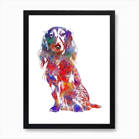 Long Haired Dachshund Watercolor Póster