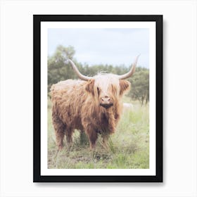Shaggy Cow Art Print