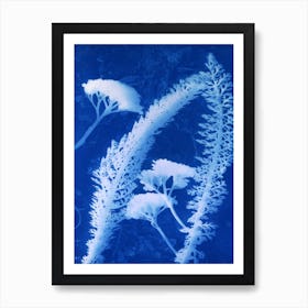 Summer Struck Art Print