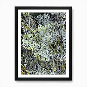 Frosty Grass Art Print