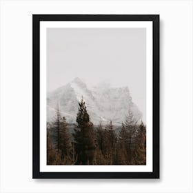 Rustic Forest Art Print