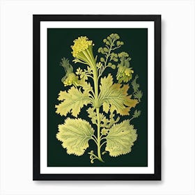 Mustard Herb Vintage Botanical Art Print